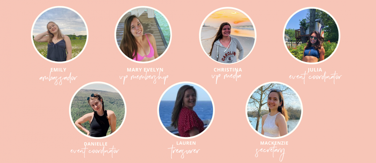 university-of-south-carolina university-of-south-carolina